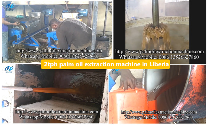 palm oil processing machine