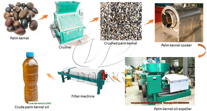 palm kernel oil extraction process