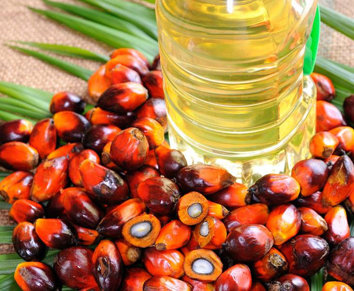 palm oil extracting process